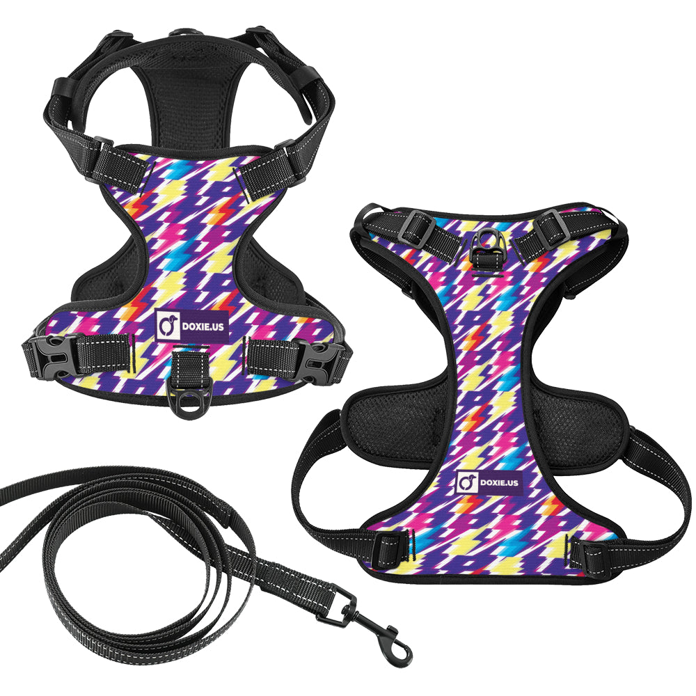 Ginger - No-Pull Dachshund Dog Harness