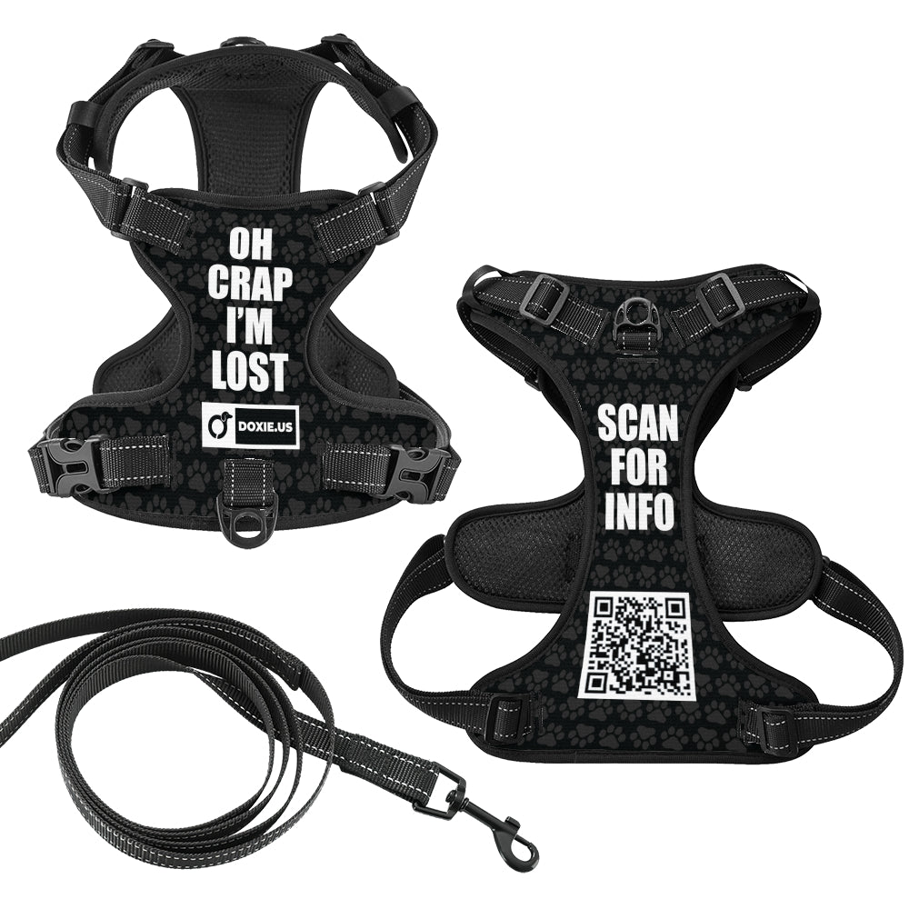 Cloud - Personalized No-Pull Dachshund Dog Harness
