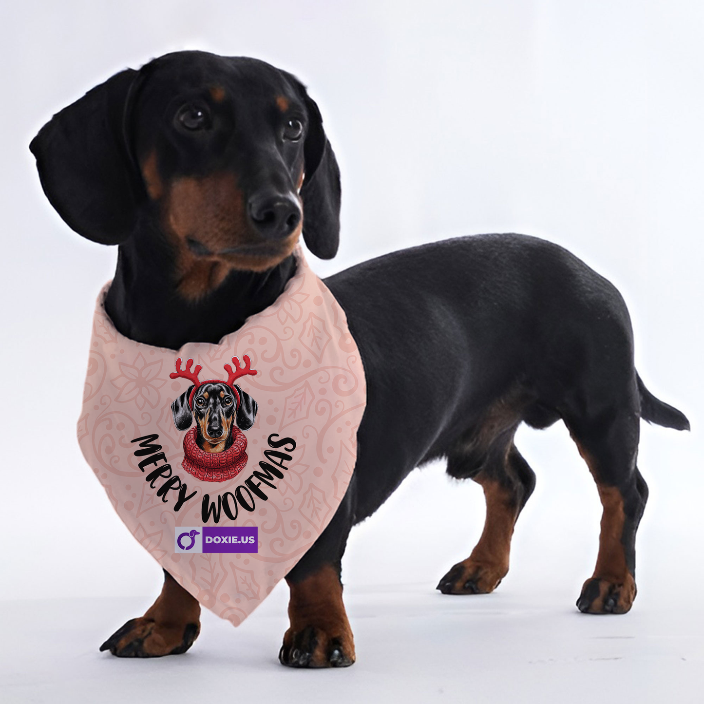 Merry woofmas - Bandanas for Dachshunds