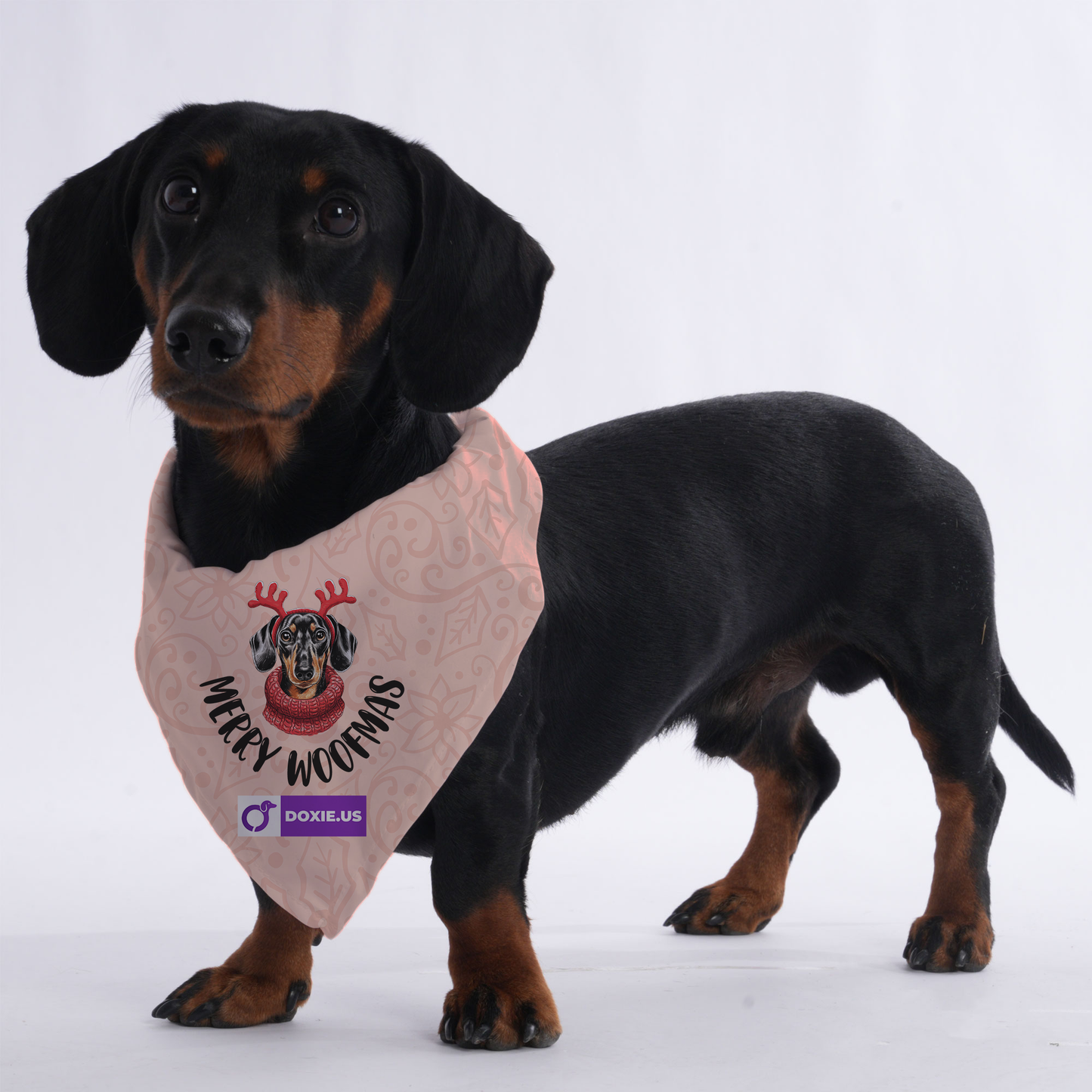 Merry woofmas - Bandanas for Dachshunds