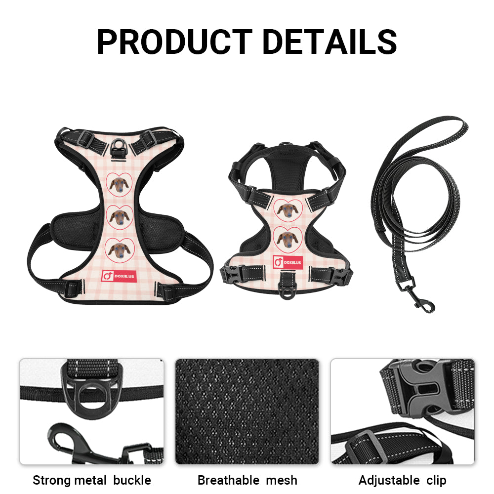Juno - Personalized No-Pull Dachshund Dog Harness