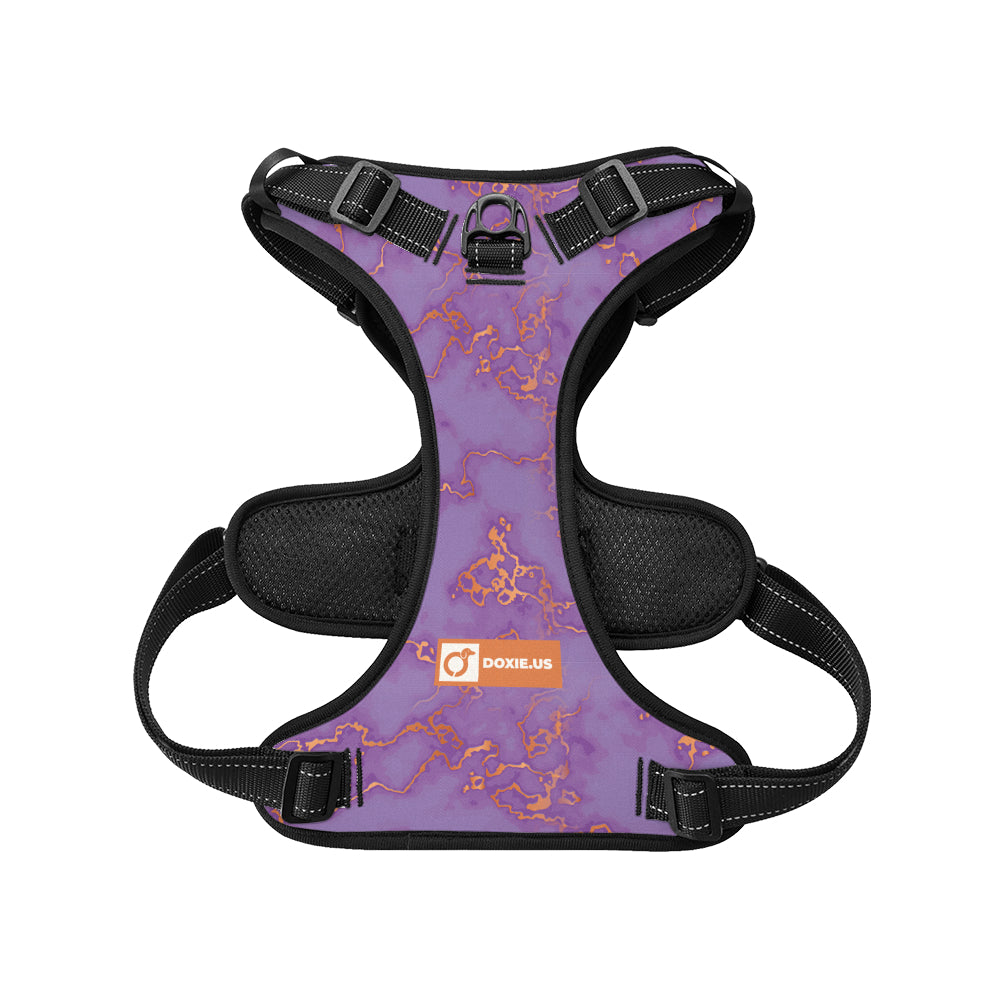 Buster - No-Pull Dachshund Dog Harness
