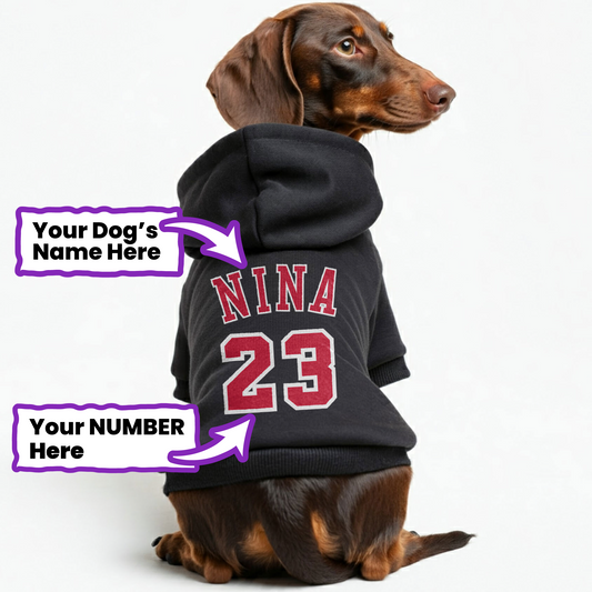 Nina - Personalized Dachshund Hoodies with your Doxie's name and number – Stylish, Cozy, and Premium 100% Cotton