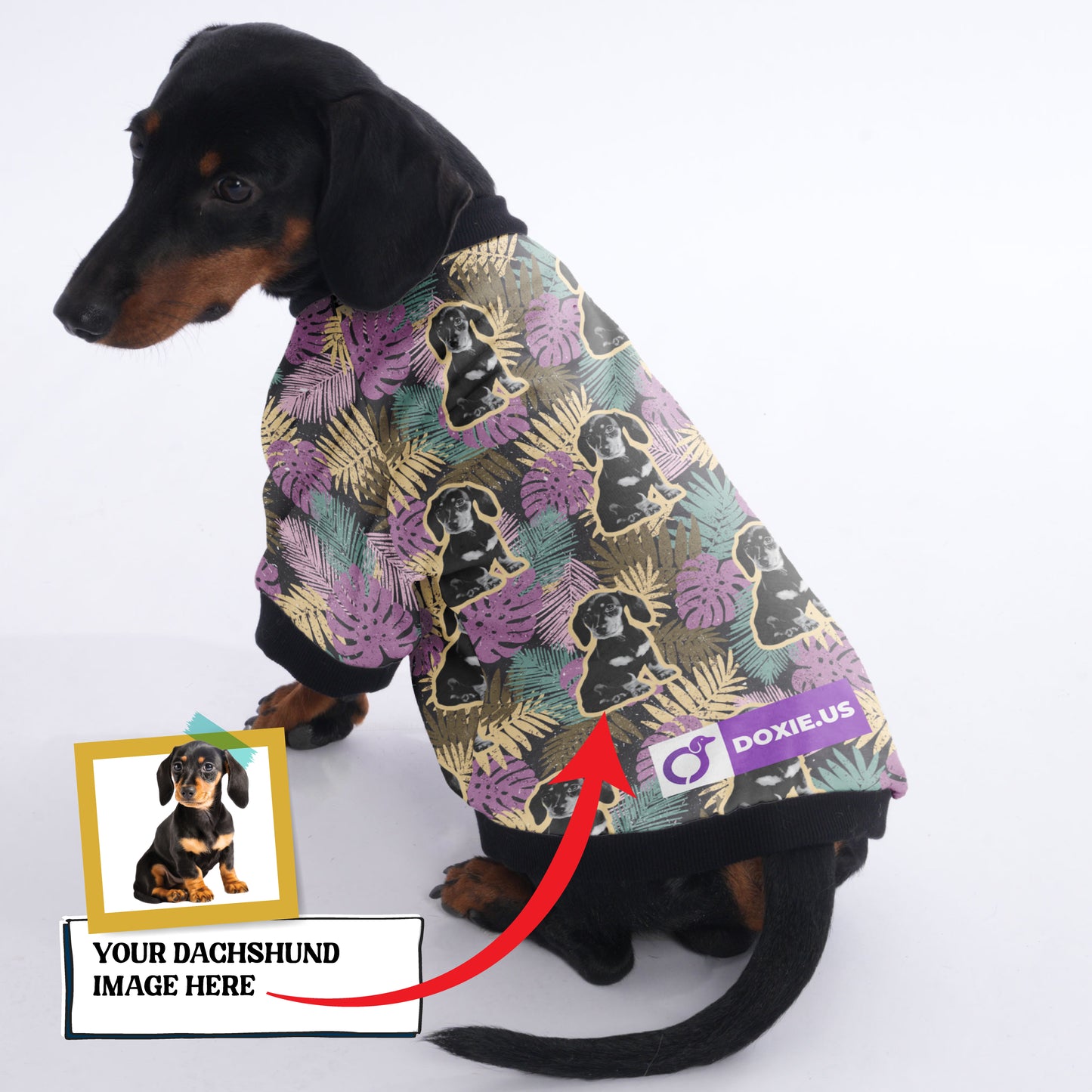 Personalized Doxie Jacket with Your Pup's picture