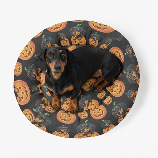 Willow - Cloud-Comfort Large Dachshund Bed | Anti-Anxiety Donut Bed for Dachshunds