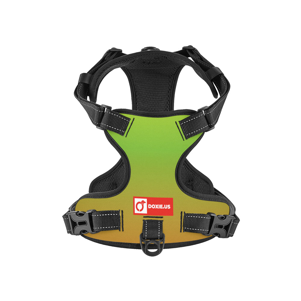 Oskar - No-Pull Dachshund Dog Harness