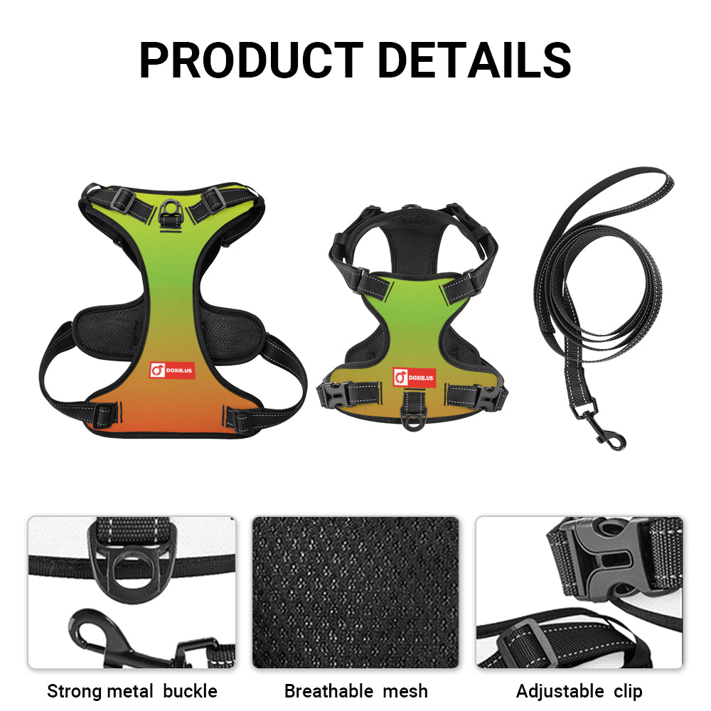 Oskar - No-Pull Dachshund Dog Harness