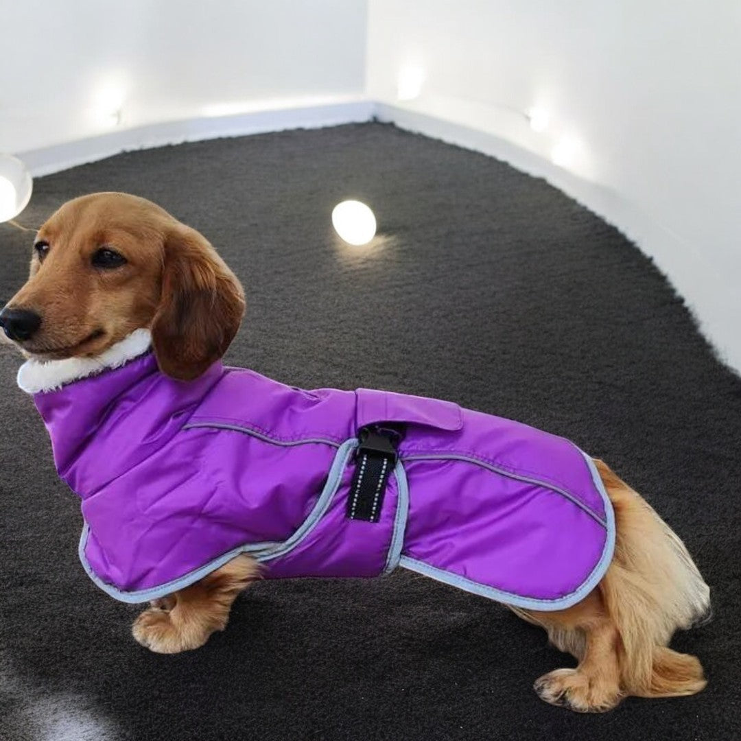 Premium Fleece Dachshund Coat