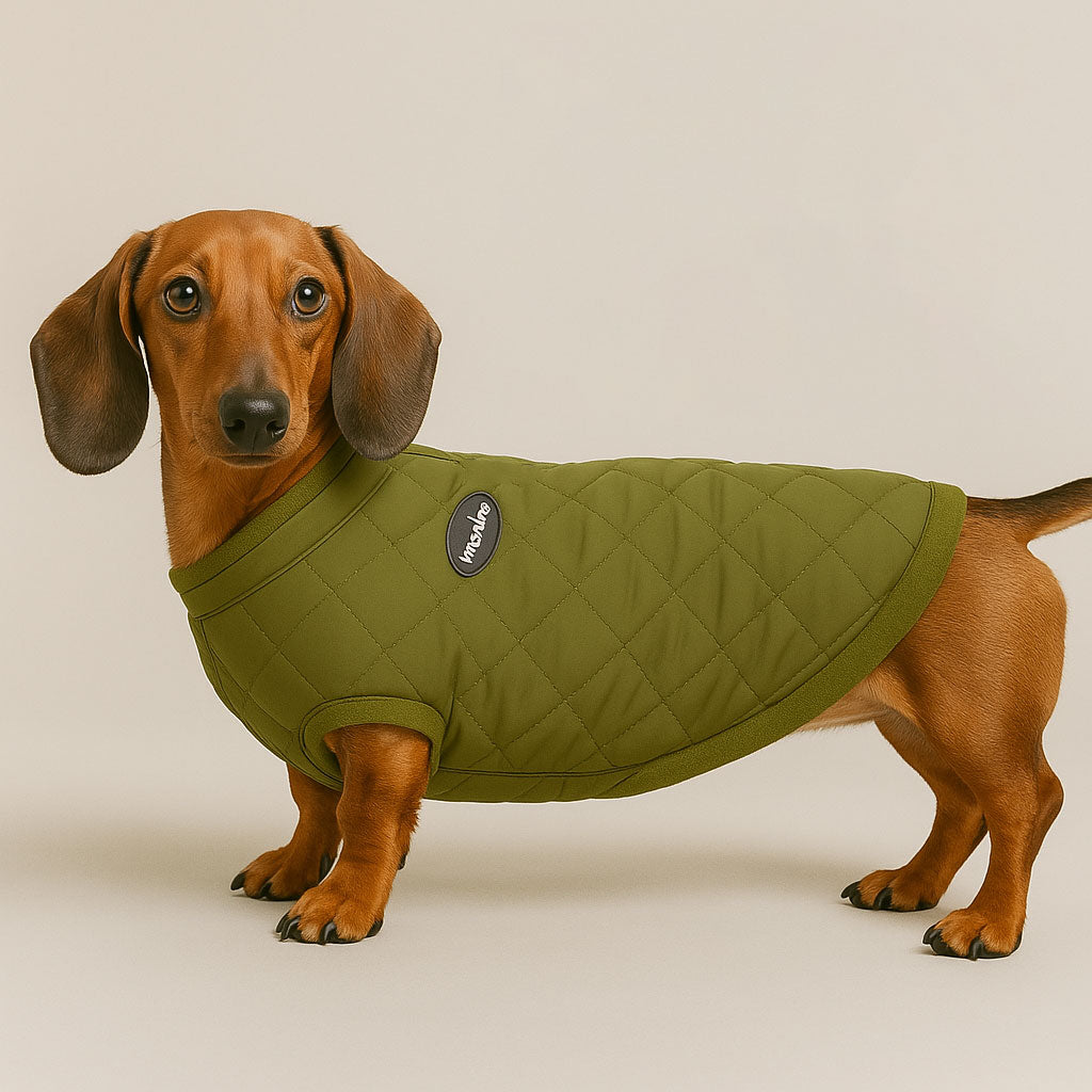 Cozy Quilted Dachshund Jacket with Snap Closure