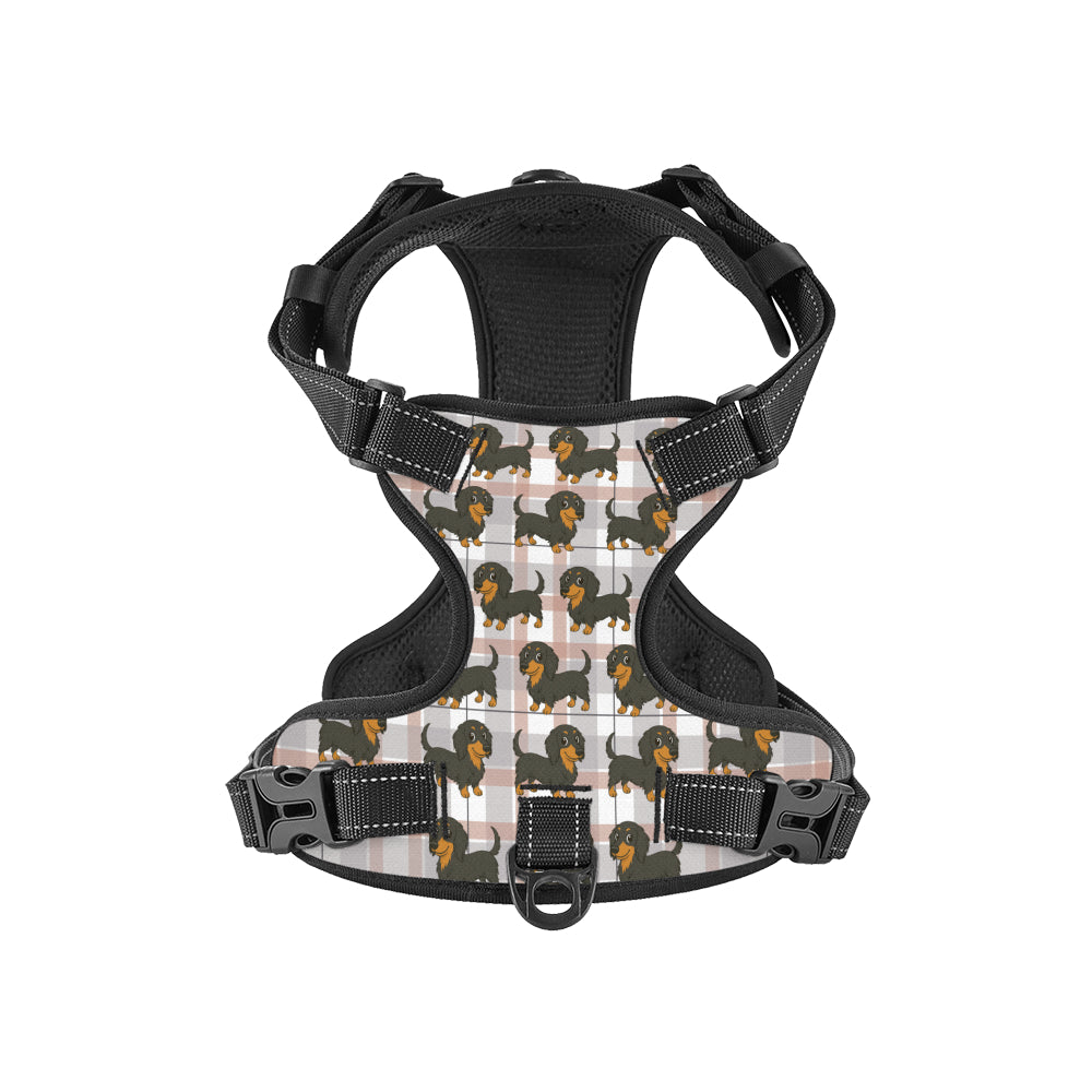 Thistle - Personalized No-Pull Dachshund Dog Harness