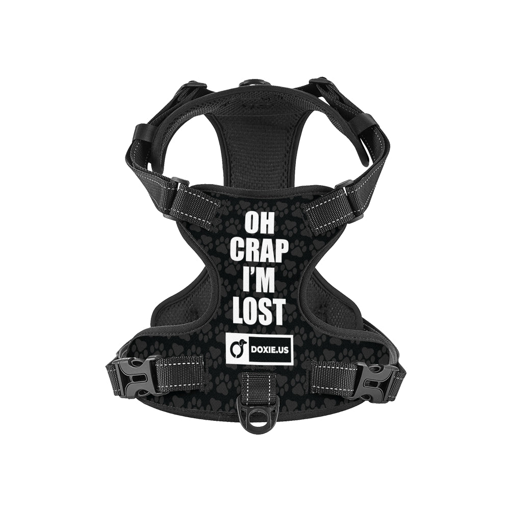 Cloud - Personalized No-Pull Dachshund Dog Harness