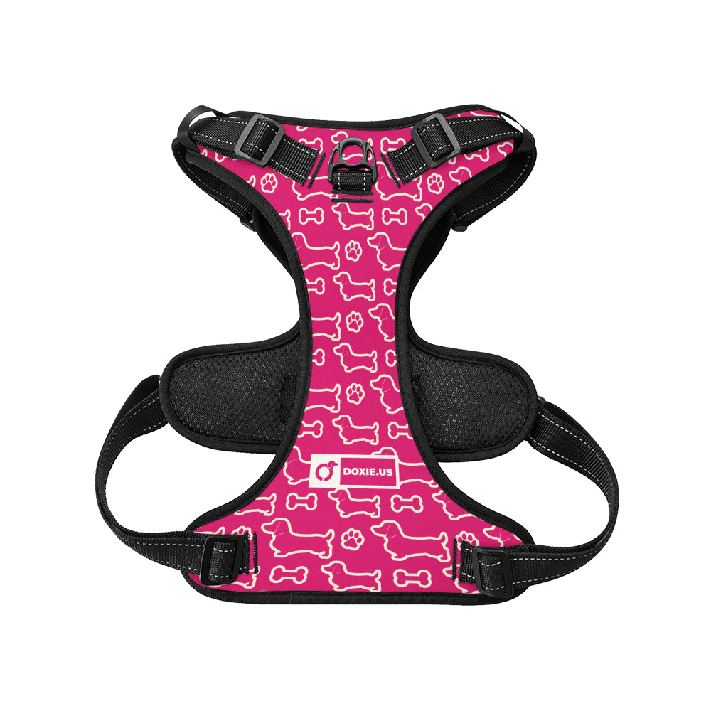 Rusty - No-Pull Dachshund Dog Harness
