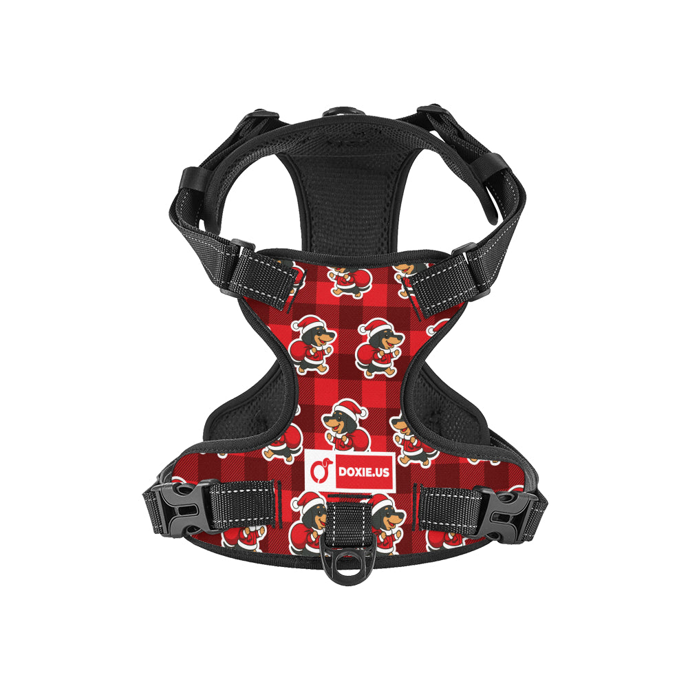 Tom - No-Pull Dachshund Dog Harness
