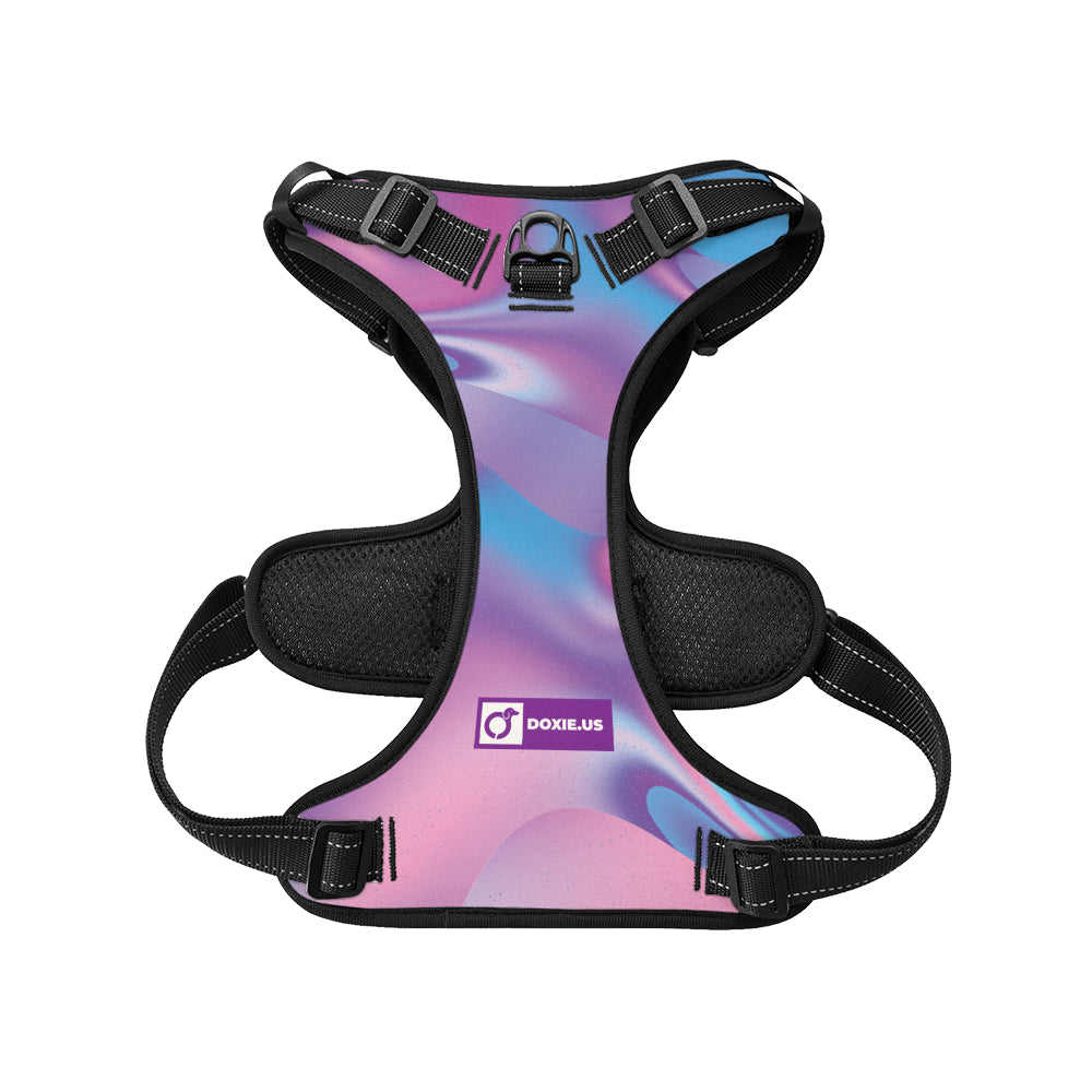 Betty - No-Pull Dachshund Dog Harness