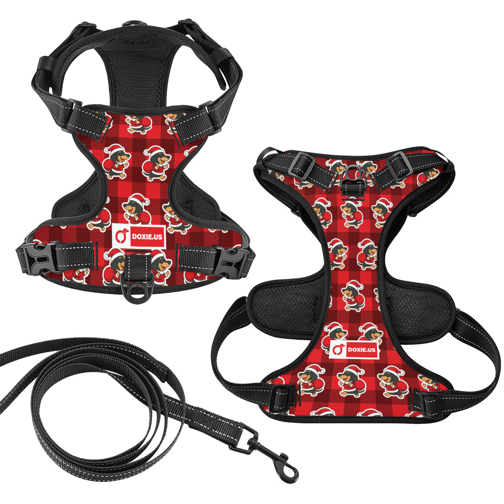 Tom - No-Pull Dachshund Dog Harness