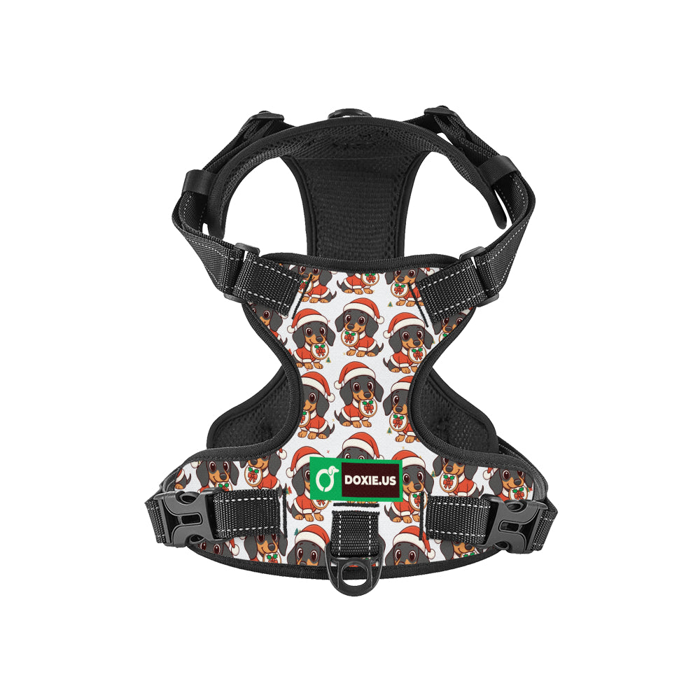 Kevin - No-Pull Dachshund Dog Harness