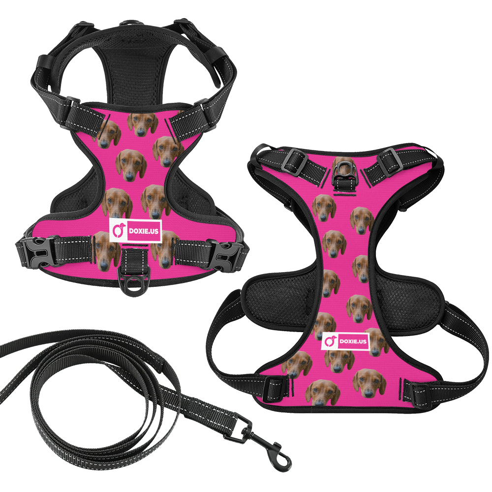 Gunner - Personalized No-Pull Dachshund Dog Harness