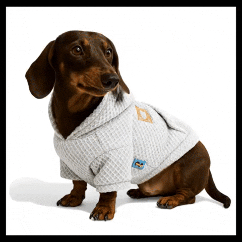 Dachshund Waffle Hoodie – Sherpa-Lined Warm Dog Sweater with Hood