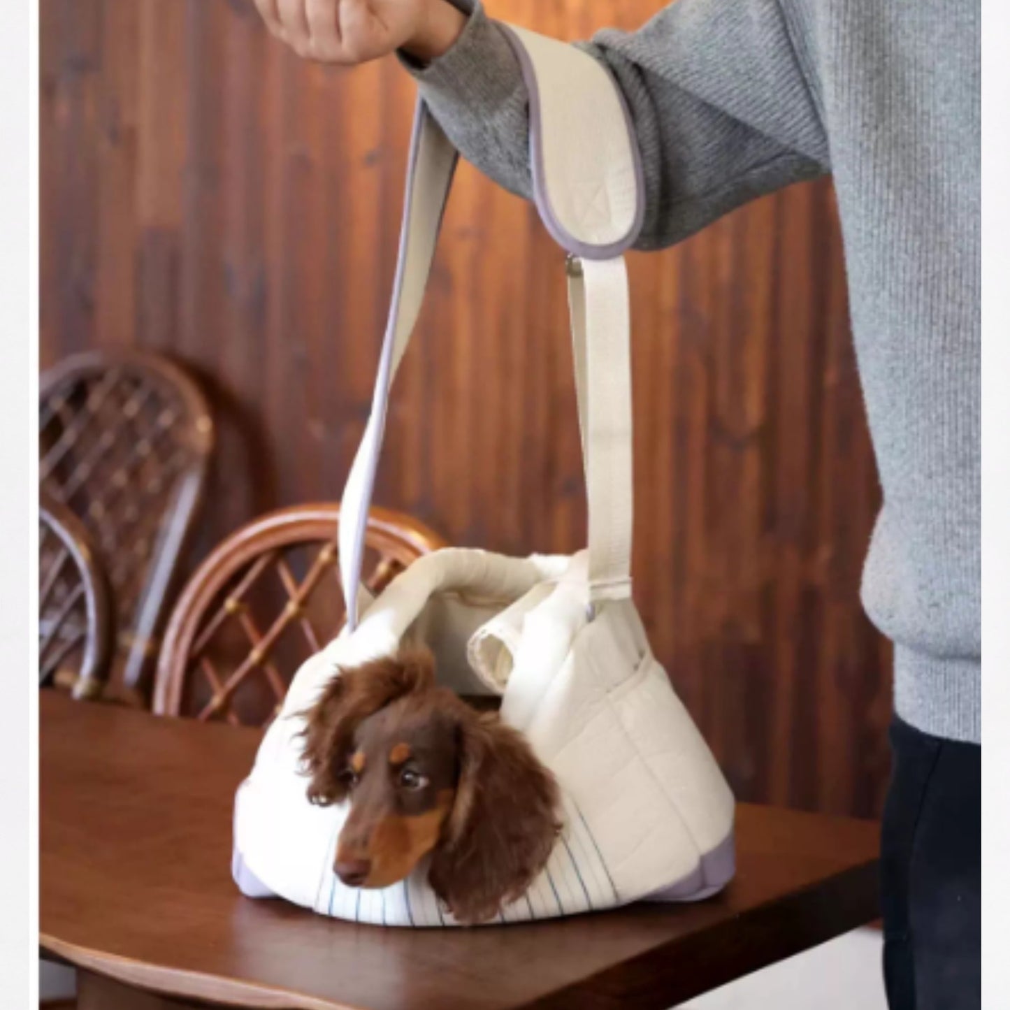 DachiGo Dachshund Outing Carrier – Korean Style Crossbody Bag for Small Dogs