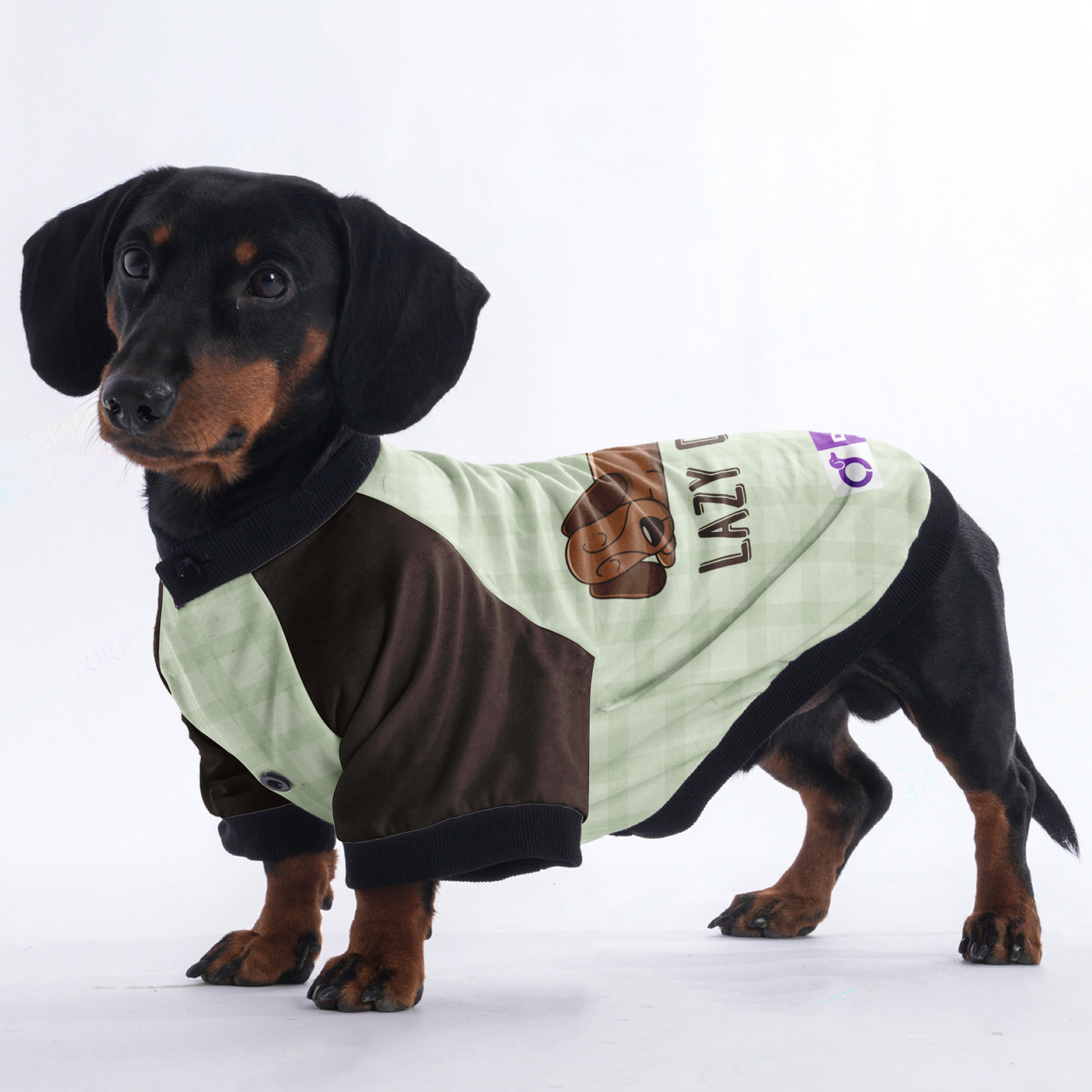 Lazy dog - Jacket for Dachshunds