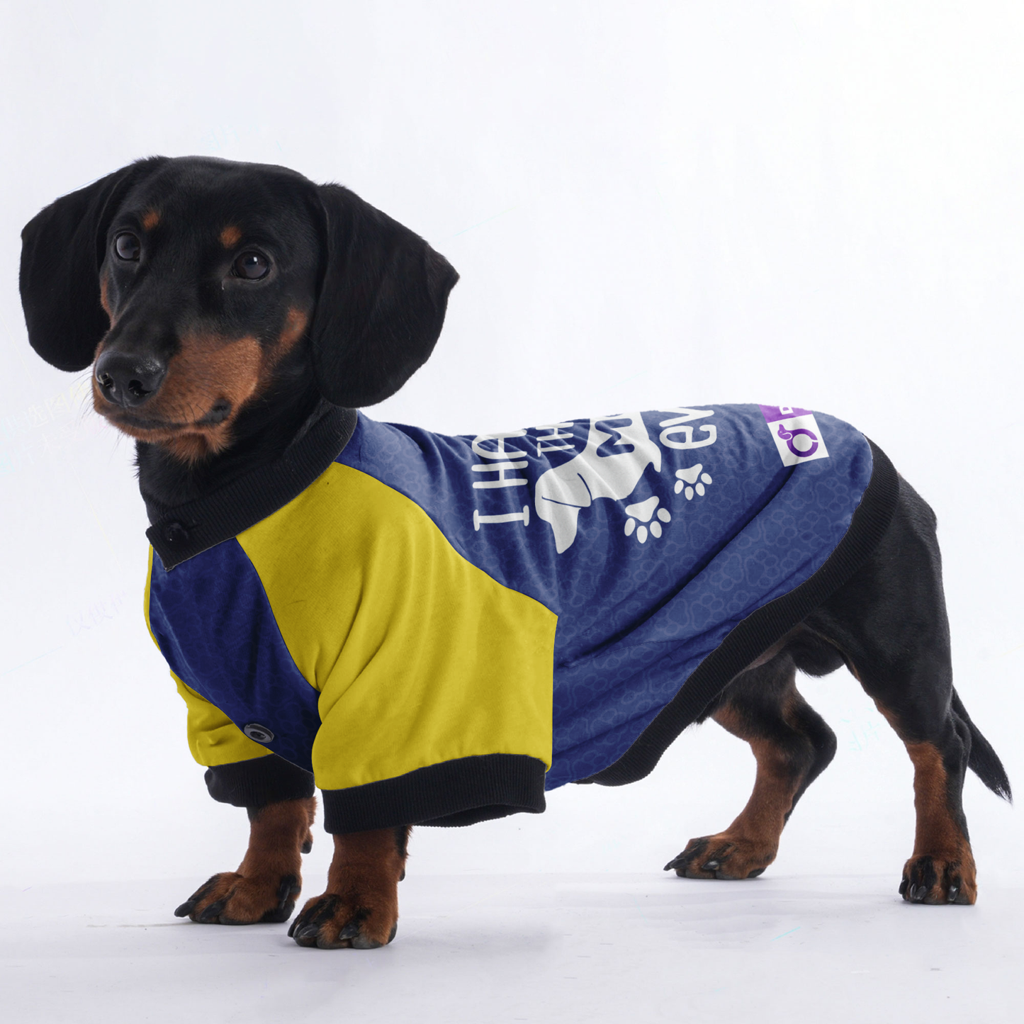 I Have The Best Mom Ever - Jacket for Dachshunds