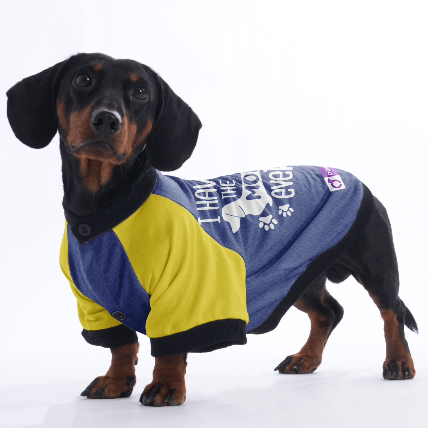 I Have The Best Mom Ever - Jacket for Dachshunds