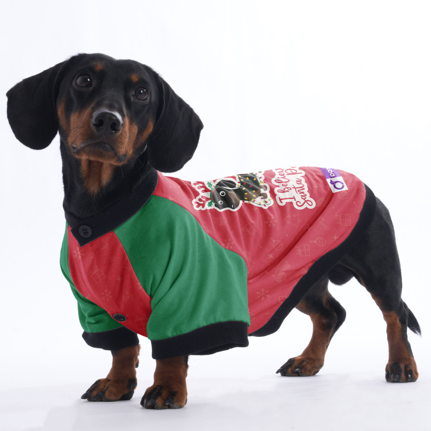 I believe in Santa Paws - Jacket for Dachshunds
