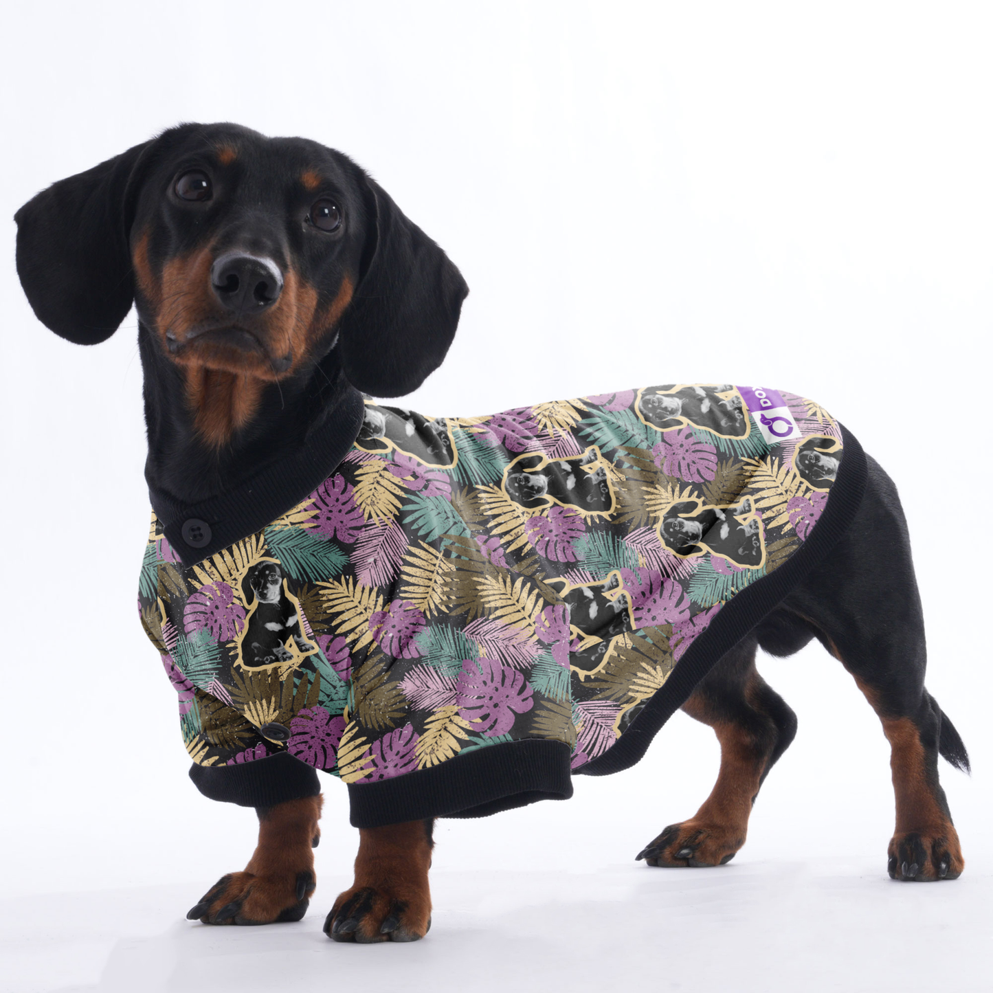 Personalized Doxie Jacket with Your Pup's picture