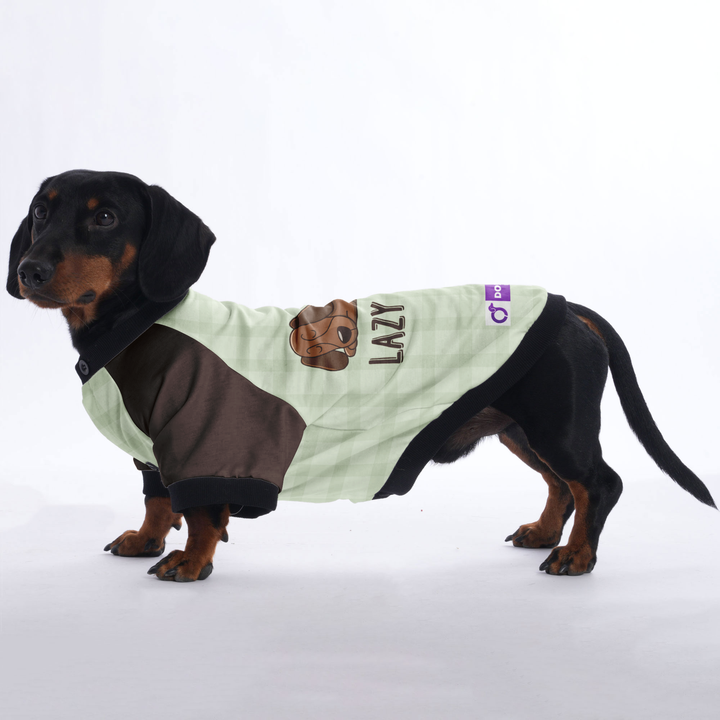 Lazy dog - Jacket for Dachshunds