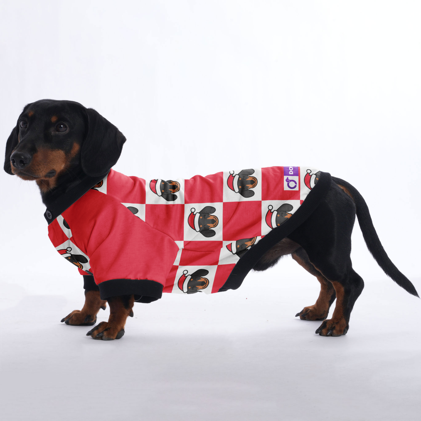 Rolo - Jacket for Dachshunds
