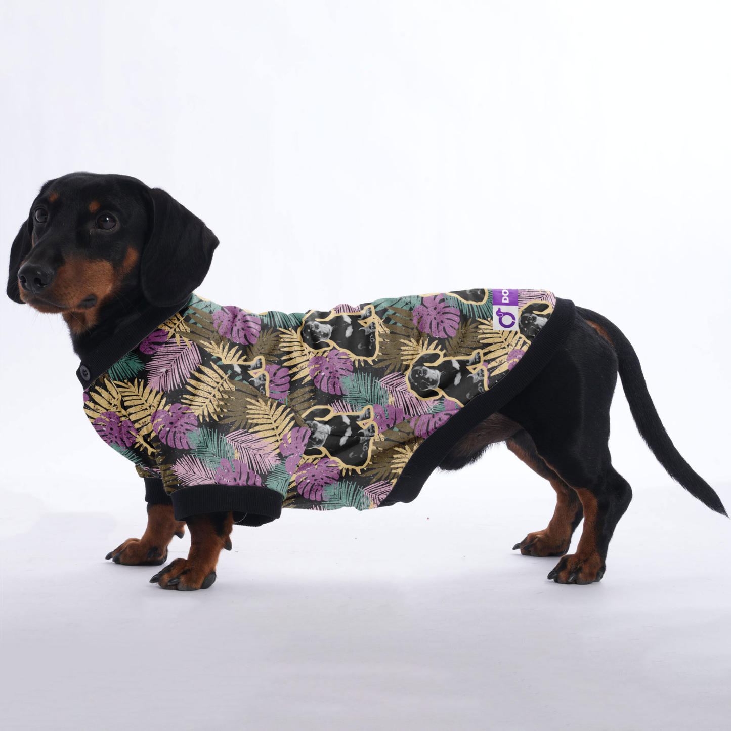 Personalized Doxie Jacket with Your Pup's picture