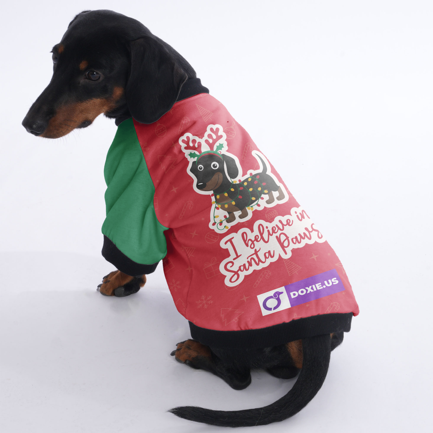 I believe in Santa Paws - Jacket for Dachshunds