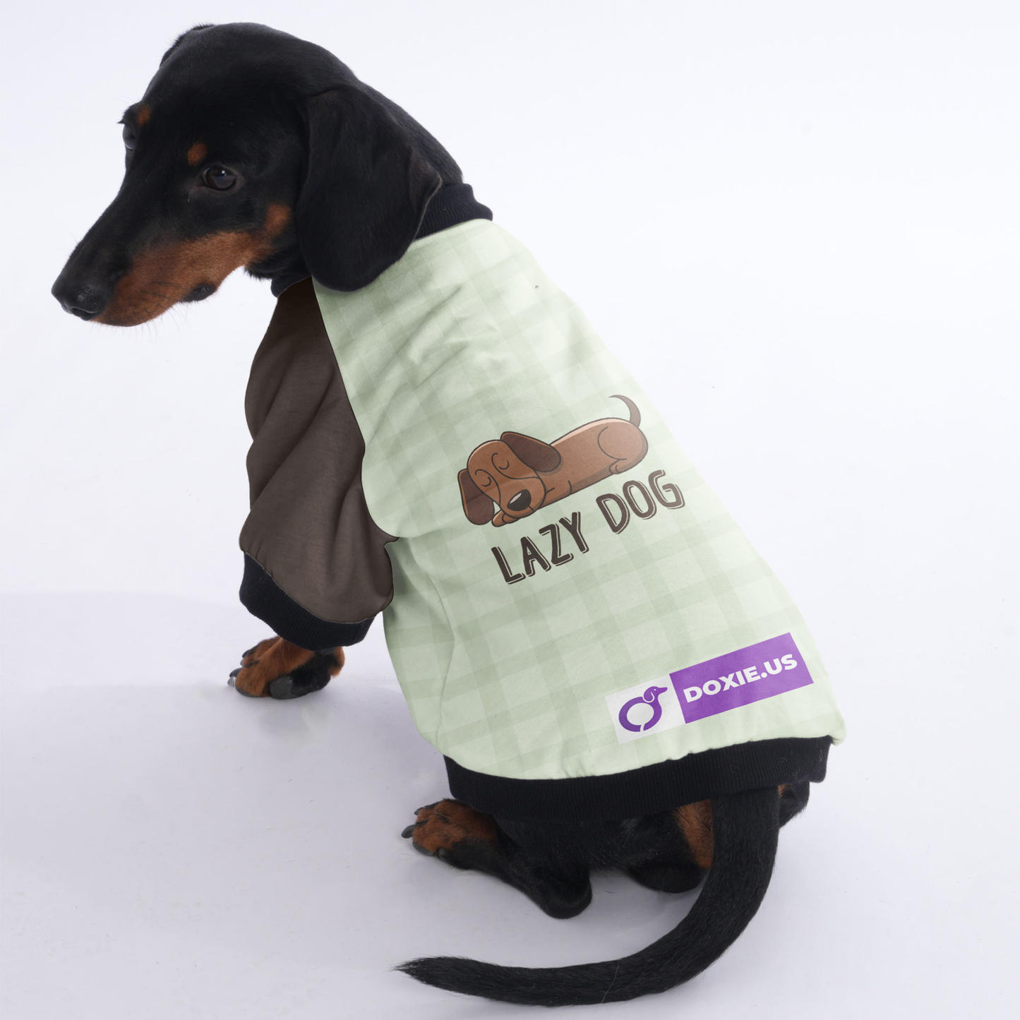 Lazy dog - Jacket for Dachshunds