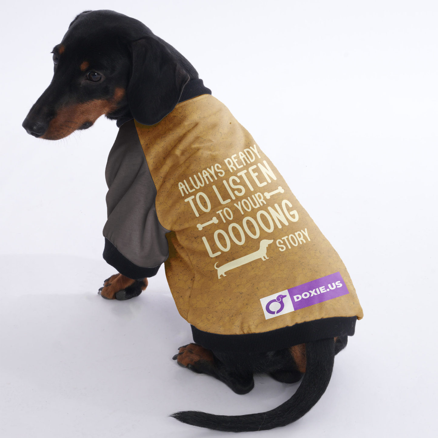 ALWAYS READY TO LISTEN TO YOUR LOOOONG STORY - Jacket for Dachshunds