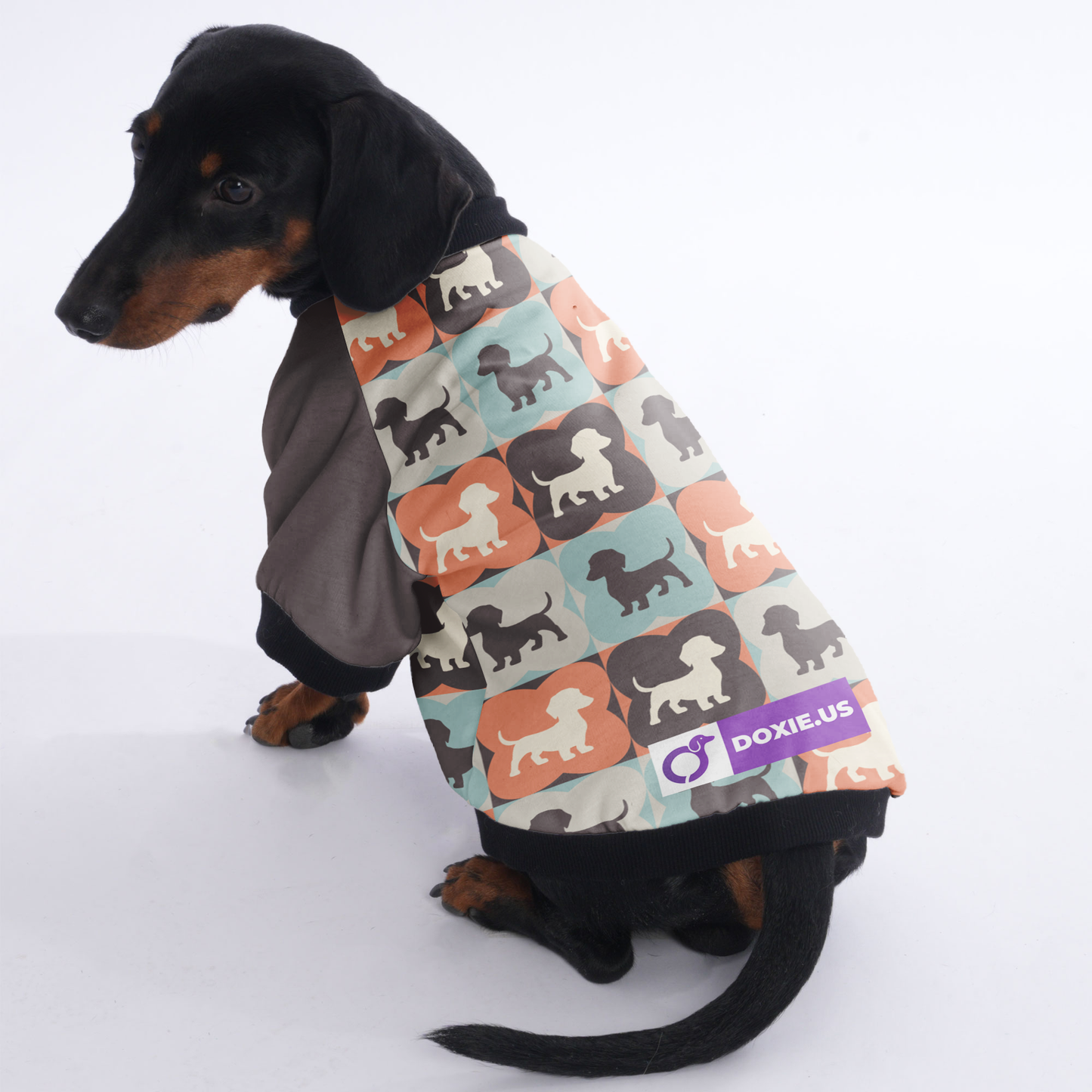 Molly - Jacket for Dachshunds