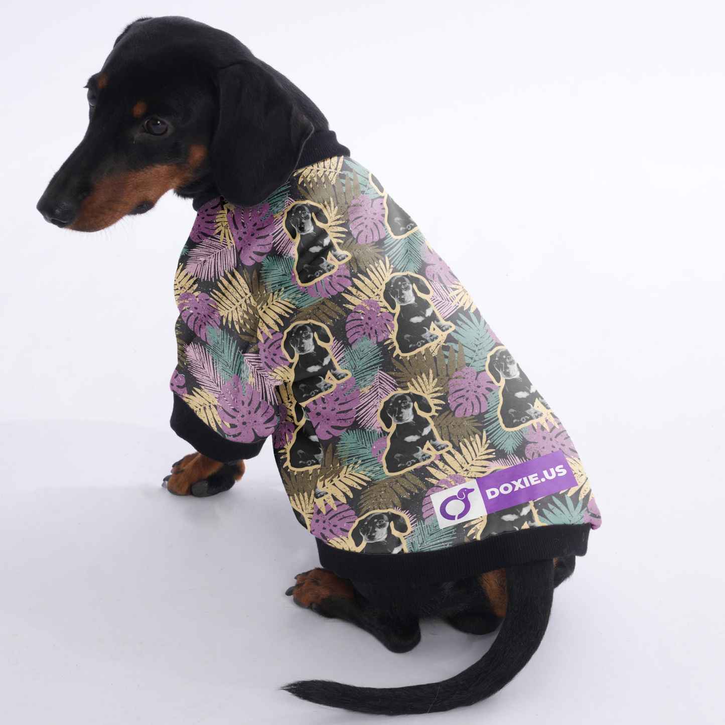 Personalized Doxie Jacket with Your Pup's picture