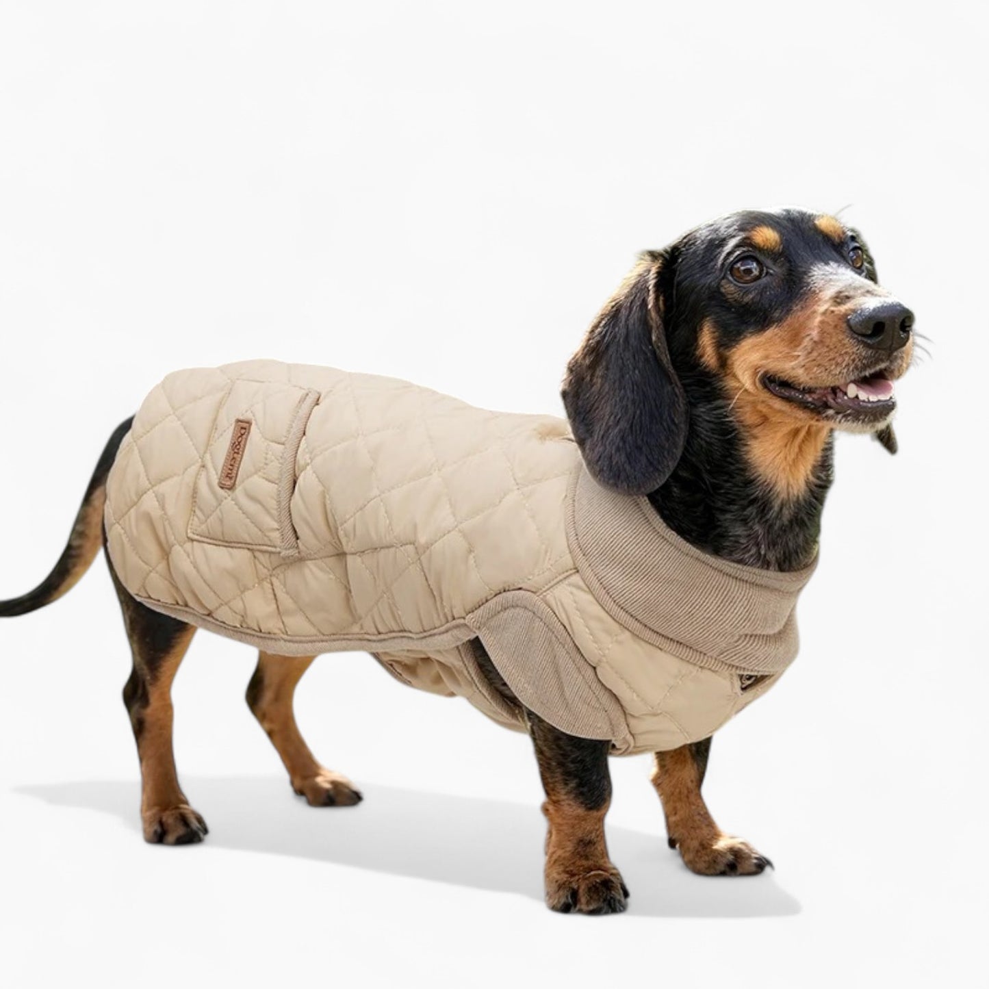 Dachshund Quilted Winter Coat – Water-Resistant Long-Body Jacket with Leash Hole