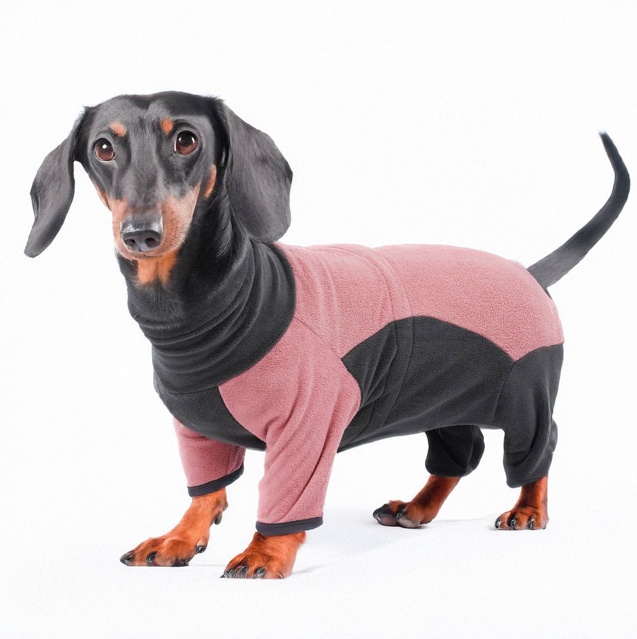 www.doxie.us-Dachshund-Winter-Pajamas