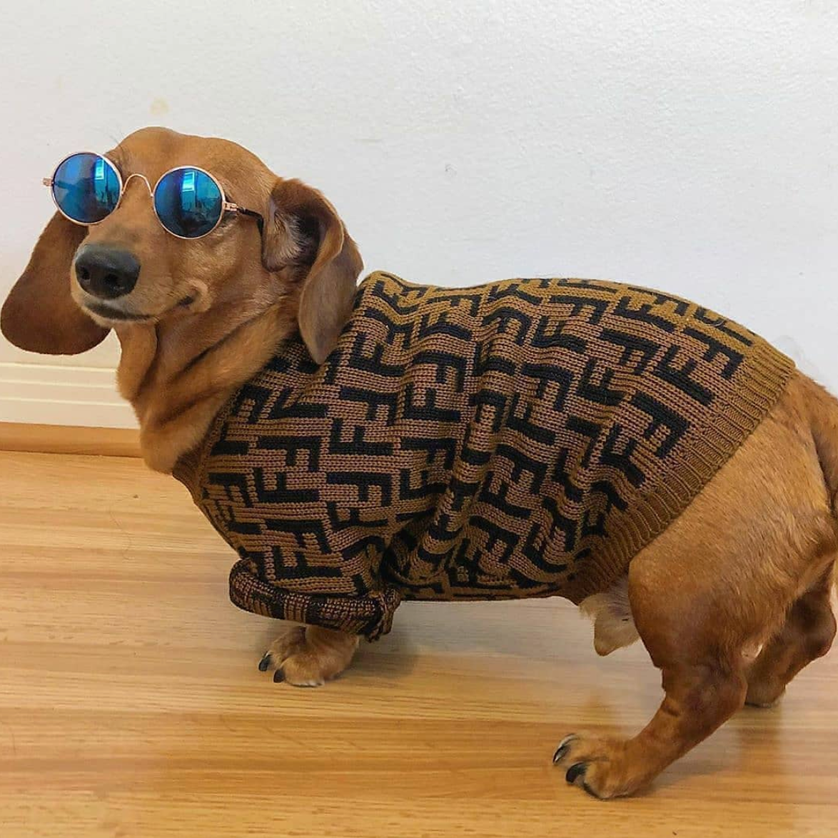 FENDI dachshund Sweater