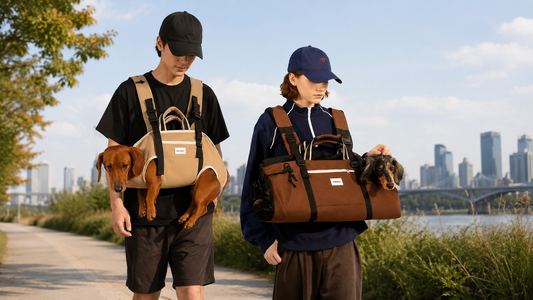 Hands-Free and Happy: Best Dachshund Carriers for Hiking, Walking &amp; Everyday Adventures
