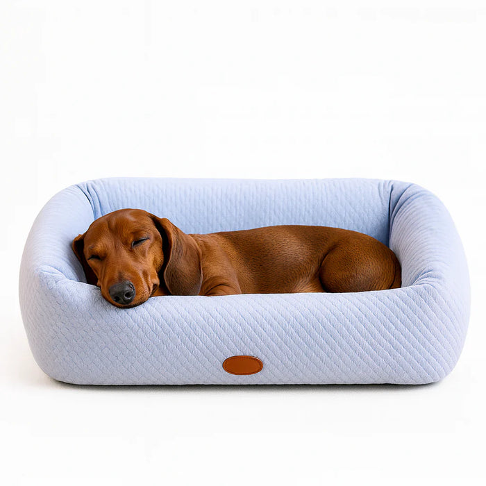 Beds for Dachshunds