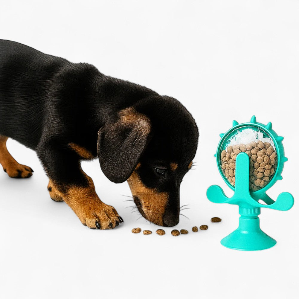 Dog Toys for Dachshunds