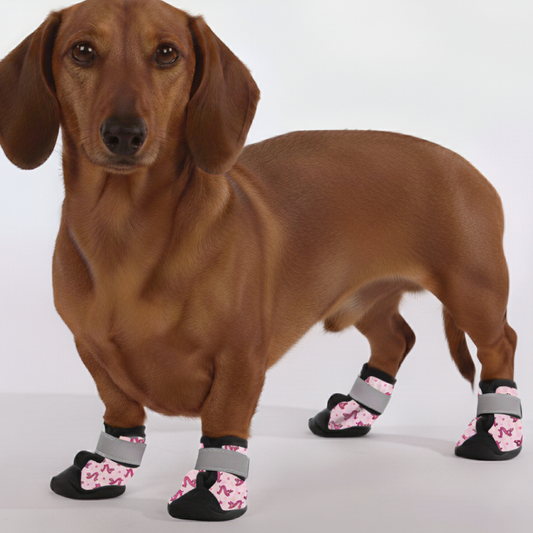 Charlie – Premium Dachshund Winter Booties