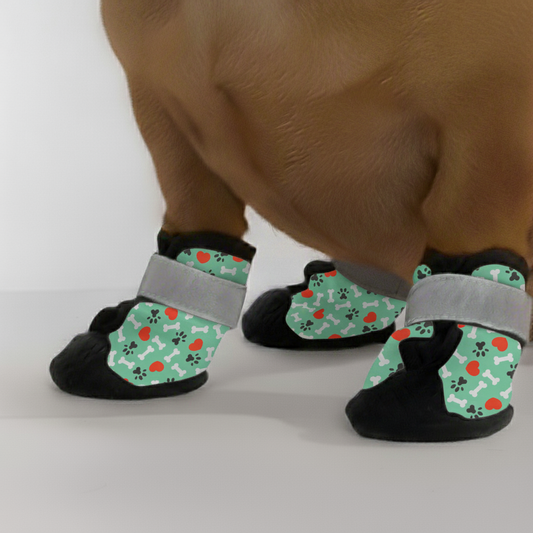 Footie – Premium Dachshund Winter Booties