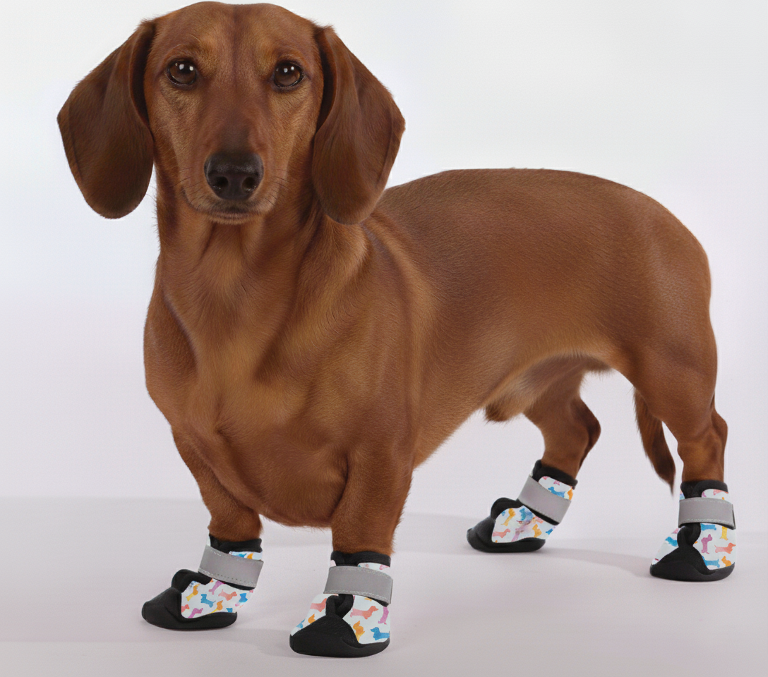 Heimdall – Premium Dachshund Winter Booties