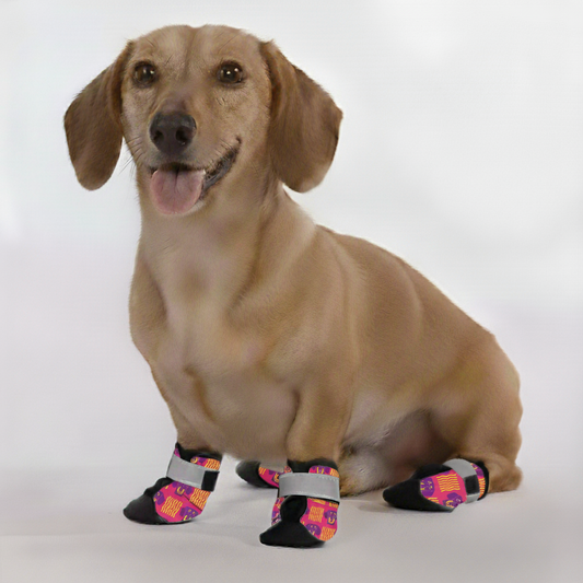 Sage – Premium Dachshund Winter Booties
