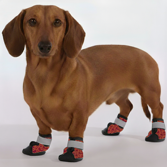 Roxie – Premium Dachshund Winter Booties