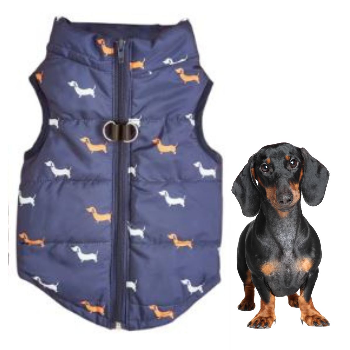 Dachshund Winter Zipper Coat - Windproof Warm Vest for Small Pets