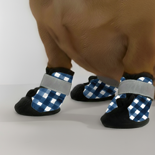 Dobby – Premium Dachshund Winter Booties