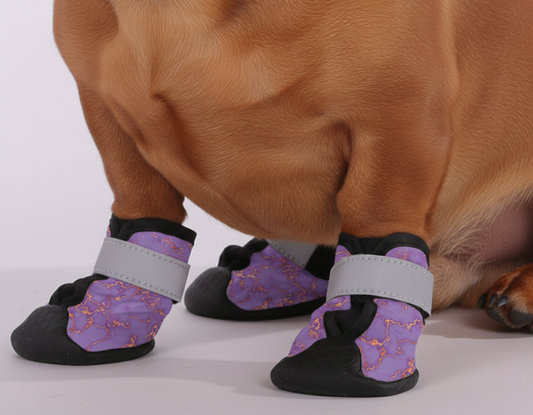 Peanut – Premium Dachshund Winter Booties
